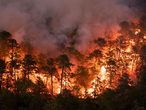Ballanger-Fire.-Photo-by-NJ-Forest-Fire-Service-May-16-2021